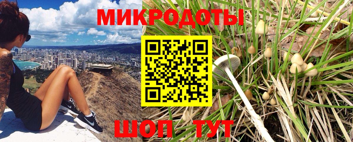 Псилоцибиновые грибы Psilocybe  Псилоцибиновые грибы ЛСД  Вход с VPN  Кашира 