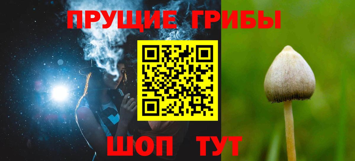 Галлюциногенные грибы мухоморы Кашира