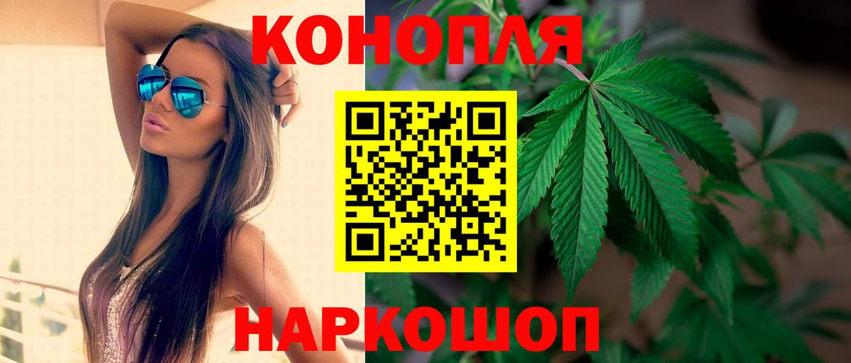 Шишки марихуана планчик Кашира